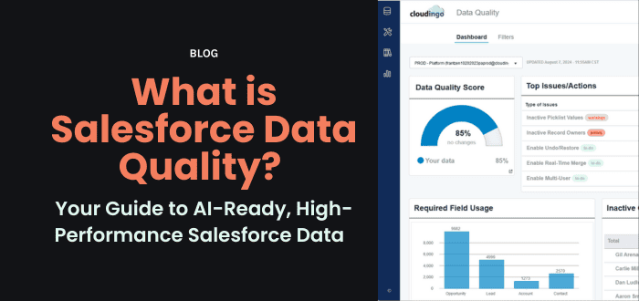 Salesforce Data Quality Best Practices for 2025 | Cloudingo