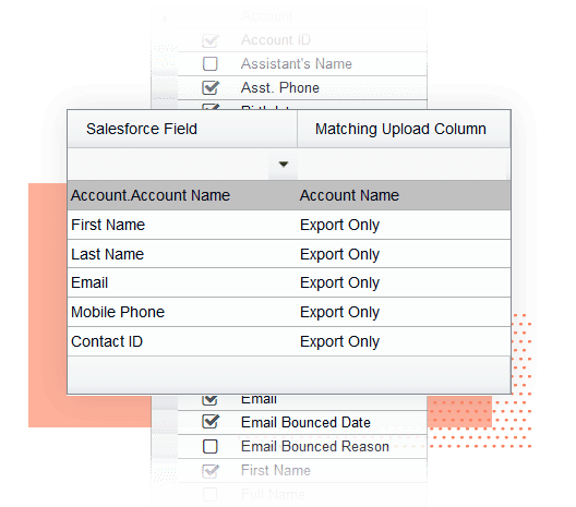 Find Salesforce IDs